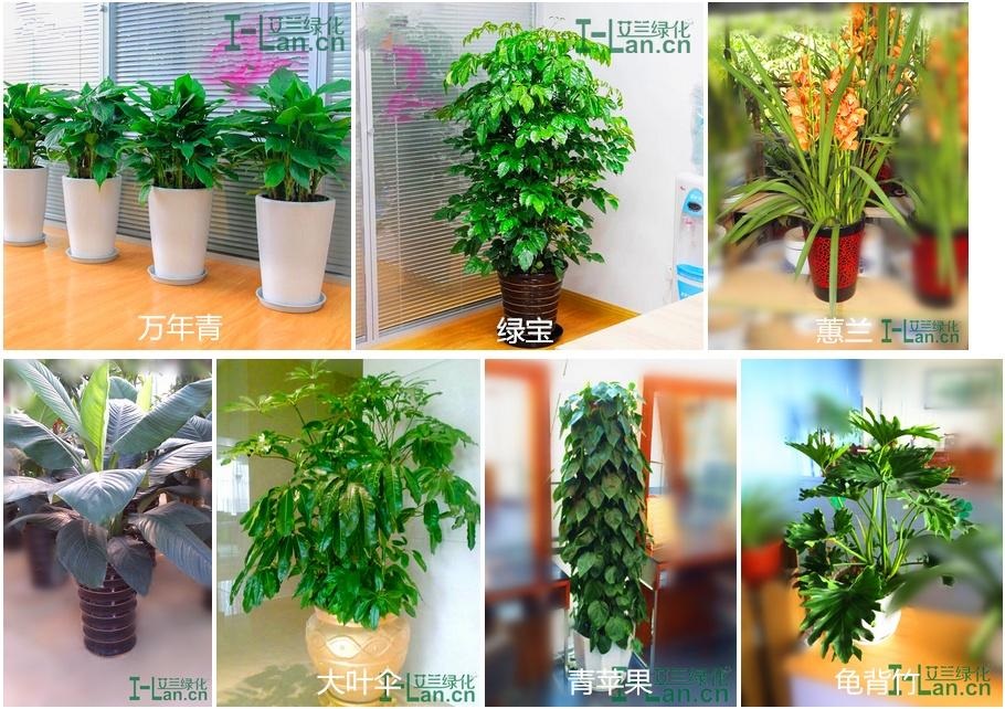 首页-RG皇家视讯厅真人官方网站